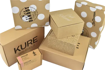 Ekspresna dostava Kutije u Zwijnaarde BE